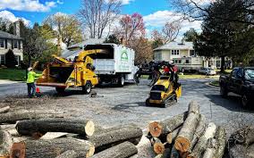 Best Hazardous Tree Removal  in Linden, AZ